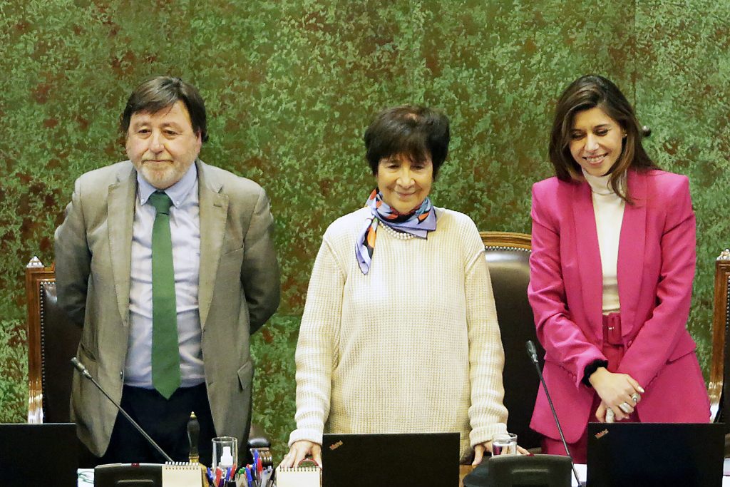 Daniella Cicardini (PS) fue elegida como segunda vicepresidenta de la Cámara: “Es una primera señal y un piso de diálogo”