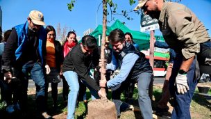 Programa Brotar: Gobierno de Santiago entregará 19.000 árboles con sistema de seguimiento, capacitación y cuidados