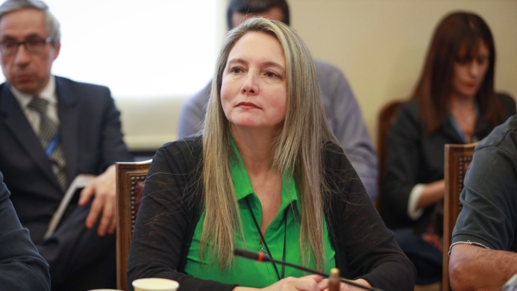 Diputada Del Real por 11 de septiembre: “Es insólito que el Gobierno hoy le pida a las personas que se escondan en sus casas”