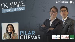 Pilar Cuevas, consejera constitucional, sobre pensiones: “No está explicitado en el texto constitucional ni la propiedad, ni la heredabilidad”