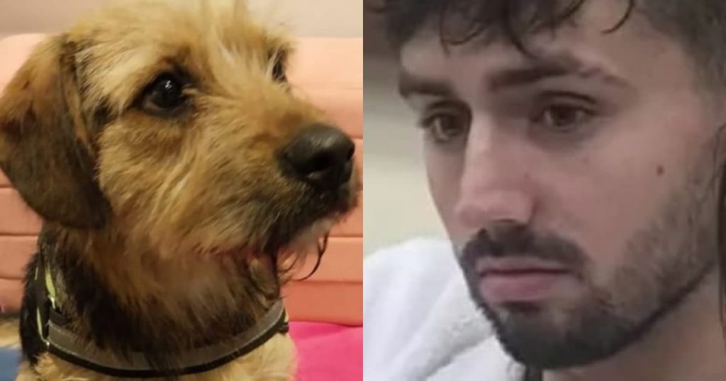 “Lo deberían expulsar”: Participante de Gran Hermano generó críticas tras ‘bromear’ con matar a perrito de la casa
