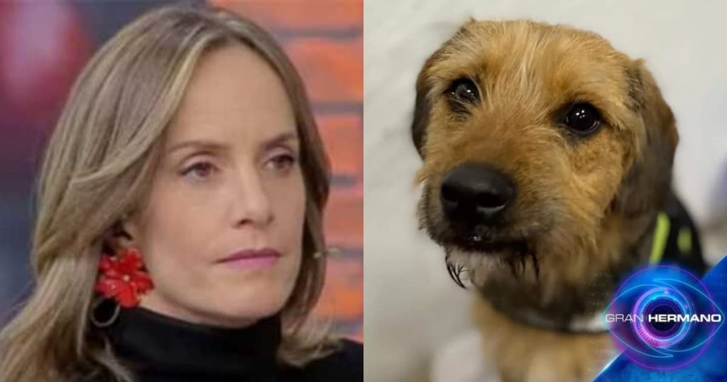 Diana Bolocco se disculpó tras críticas por maltrato a Bigote: “Lo hice muy mal, pido perdón”
