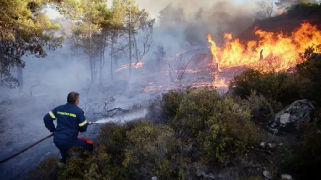 Grecia: El primer ministro, Kyriakos Mitsotakis, reconoce que será un “verano difícil” por los incendios