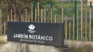 Jardín Botánico confirma muerte de un segundo trabajador debido a incendios forestales