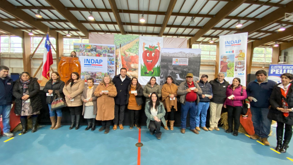 Más de 260 productores de frutillas de Chanco y Pelluhue recibieron recursos para enfrentar problemáticas del sector