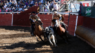 Comisión de Agricultura de la Cámara aprueba en general proyecto que declara al rodeo como deporte nacional