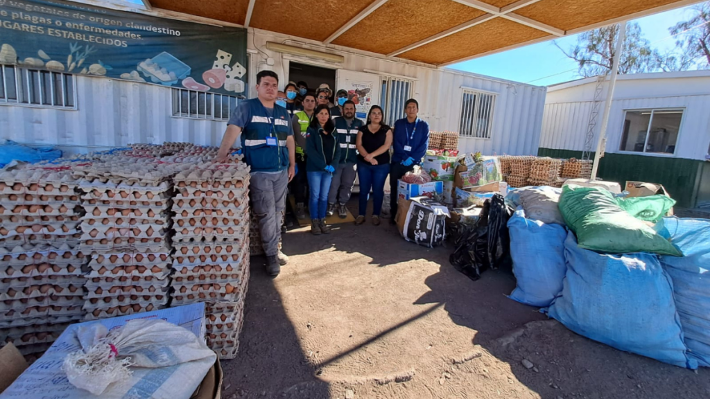 Tarapacá: Decomisan 10 toneladas de productos agropecuarios y 100 mil unidades de huevos en Huara