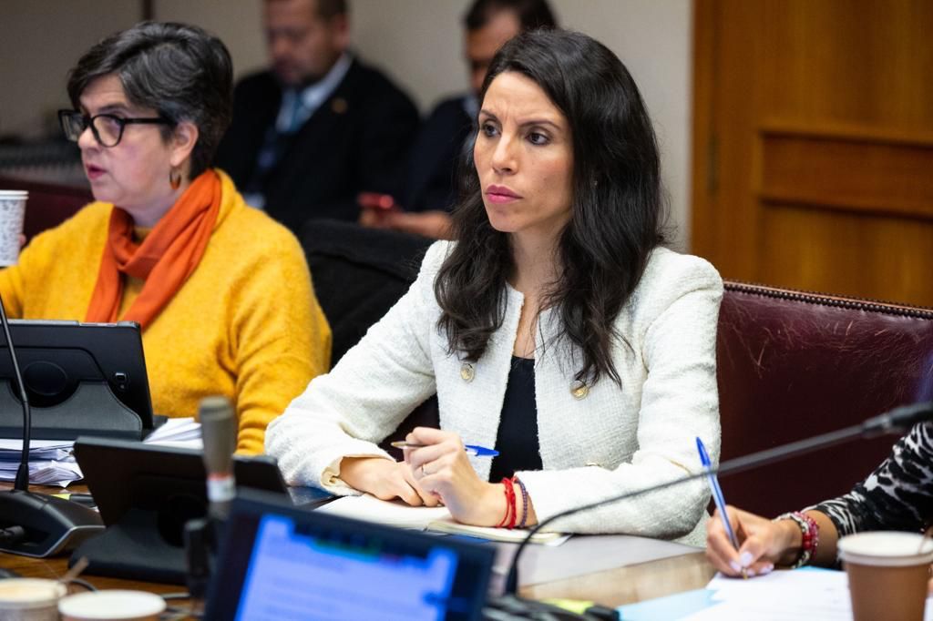 Senadora Gatica adelanta que oposición buscará reponer la Justicia Militar en la Cámara Alta
