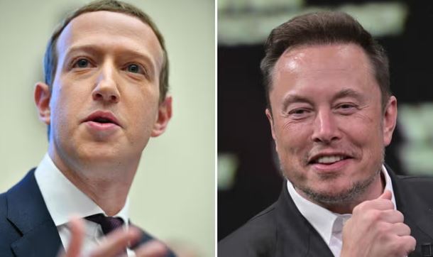 Mark Zuckerberg renuncia a combatir  con Elon Musk: “Este hombre no va en serio”