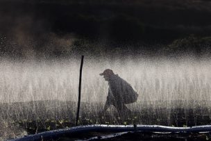 Juntas de Vigilancia rechazan la creación de 