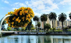 ¿Cuándo empieza la primavera en Chile?