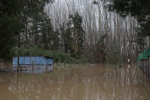 Maule: ordenan evacuación en Parral y Linares por desbordes de ríos Ancoa y Perquilauquén