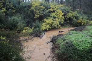 Ordenan evacuar la ribera del río Perquilauquén en Ñiquén, por desborde del río