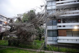 SENAPRED declara alerta temprana preventiva en comunas de la RM por viento