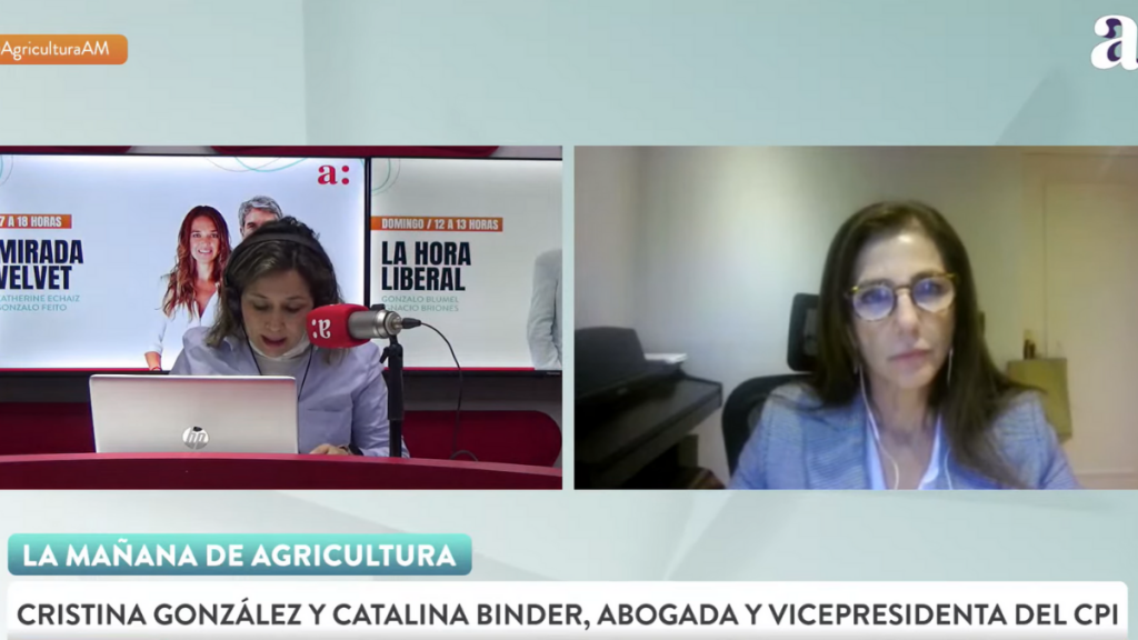 Catalina Binder, CPI: “El SNI, que evalúa y determina qué infraestructura es más conveniente de construir, no considera la resiliencia”