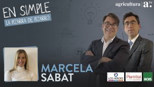 Marcela Sabat, ex senadora: “Si hay una reforma problemática, es la reforma de pensiones”