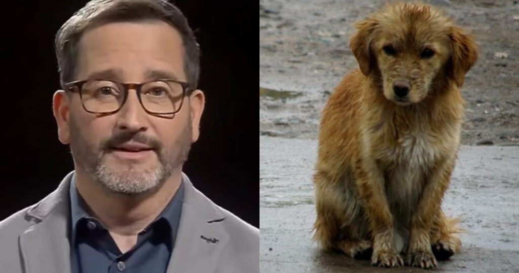 “Progre descerebrado”: Eduardo Fuentes fue víctima de los haters tras pedir evacuación de mascotas