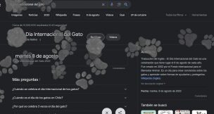 Descubre las sorpresas del buscador de Google en el Día Internacional del Gato