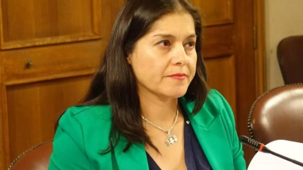 Diputada Karen Medina criticó eventual veto presidencial a Ley de usurpaciones