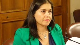 Diputada Karen Medina criticó  eventual veto presidencial a Ley de usurpaciones