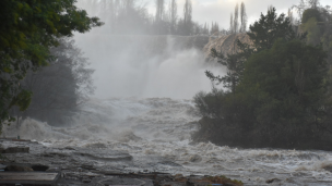 Por amenaza de desborde del río Laja: Solicitan evacuar cuatro sectores de Cabrero, Región del Biobío