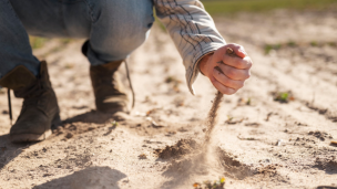 Agricultores podrán conocer con tres meses de antelación los niveles de sequía que traerá el verano gracias a innovación científica