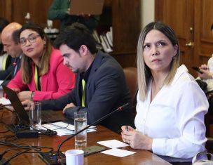 Diputada Pérez: “Es inconcebible que en cuatro meses el Senado no se ponga de acuerdo en el nombramiento de la nueva Defensora de la Niñez”