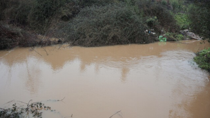 Sistema Frontal: Ordenan evacuar la ribera del río Cachapoal, comuna de Coltauco