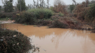 Sistema Frontal: Solicitan evacuar sectores cercanos al estero Chequenlemu en Curicó