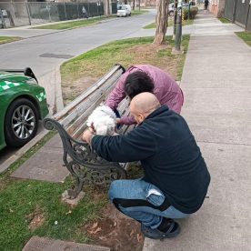 Carabineros detuvo a sujeto por maltrato animal en Ñuñoa