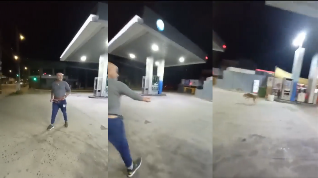 Fiscalía abre investigación de oficio contra sujeto que agredió con una honda a perro en Villa Alemana