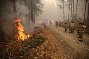 Gobierno adelanta 115 medidas para enfrentar la temporada de incendios forestales: ¿cómo funcionarán?