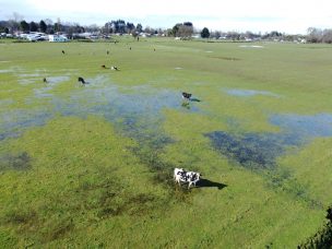 Lluvias primaverales: ¿cuánto dañarían a la agricultura del país?