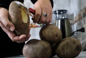 Cae el precio de las papas, tras semanas al alza: “Se acabó esta oleada de alzas desmedidas