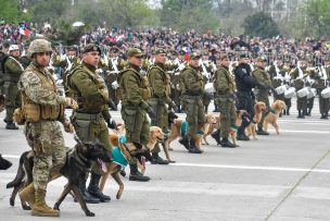 Así fue el desfile de los perritos policiales en la Parada Militar: 7 jubilaron y fueron despedidos con honores