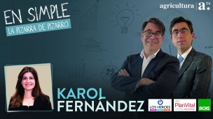 Karol Fernández: “Lo que el gobierno propone es quitarle cuatro puntos a los trabajadores activos”