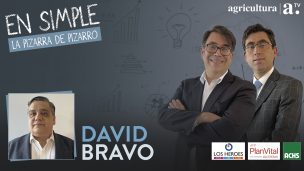 David Bravo: “Para poder avanzar necesitamos simplificar la reforma del Gobierno”