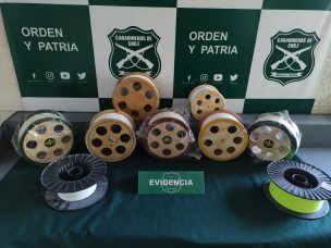 Fiestas Patrias: Carabineros detiene a sujeto tras vender hilo curado