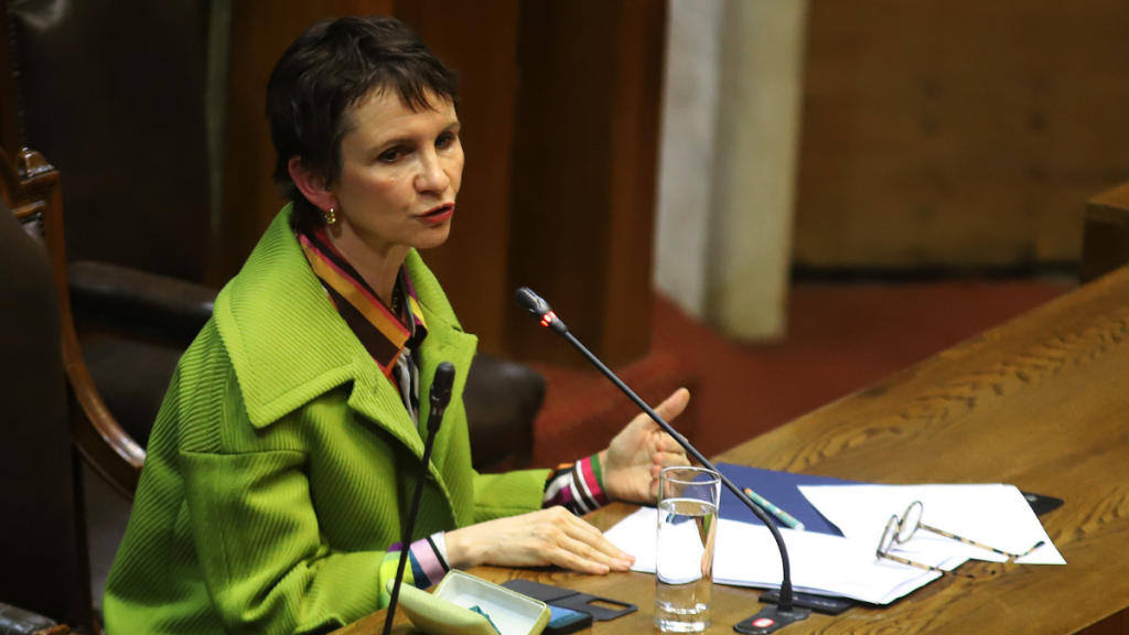 Tohá por muerte de menor de 13 años en balacera en Valdivia: “Se habló con la alcaldesa para instalar una mesa de coordinación”