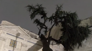 Árbol cayó sobre fachada del Palacio Cousiño producto de las lluvias: Se trata de un ciprés de 150 años