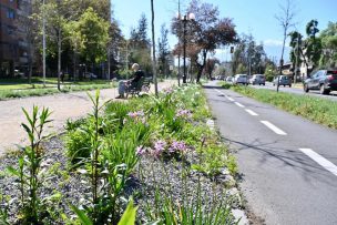 ¿Por qué se retrasó el inicio de la primavera en Chile?