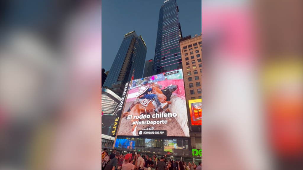 “No es deporte”: Campaña contra el rodeo llega al Times Square
