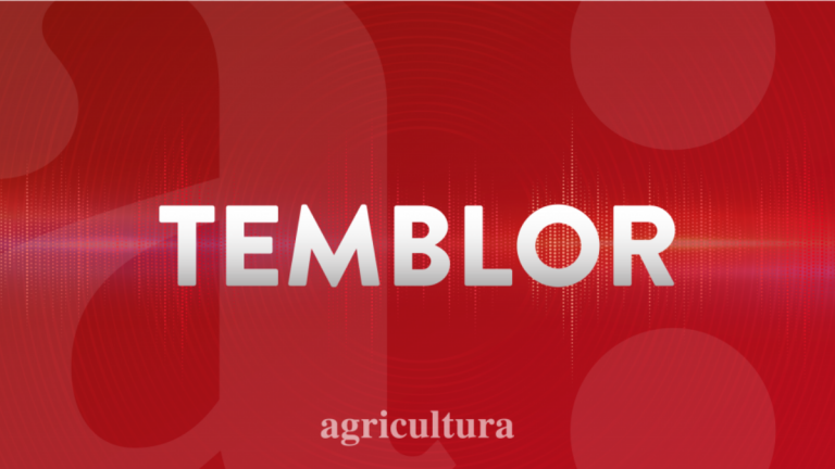 Temblor sacude la zona norte del país: magnitud y epicentro acá