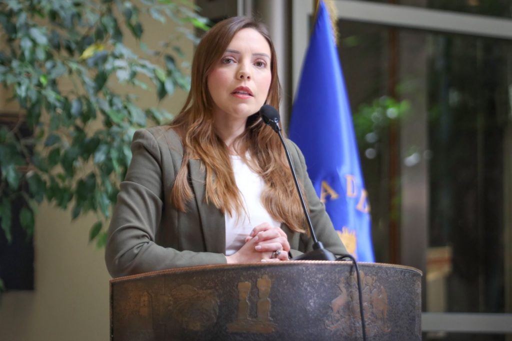 Democracia Viva: Diputada Flores calificó como “sumamente grave” el informe que vincula a Catalina Pérez en “posible tráfico de influencias”