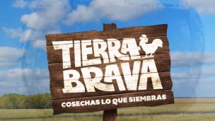 “Tierra Brava” cumple diez semanas al aire con grandes cifras: líder absoluto en el prime de la TV chilena