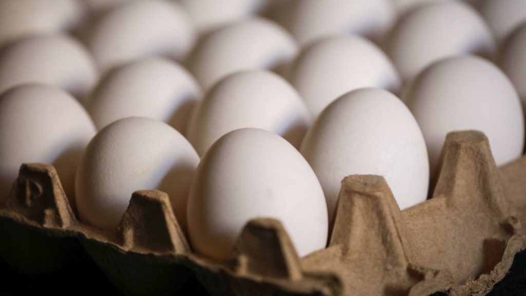 Día mundial del huevo: Los beneficios de este producto proteico clásico de nuestras comidas