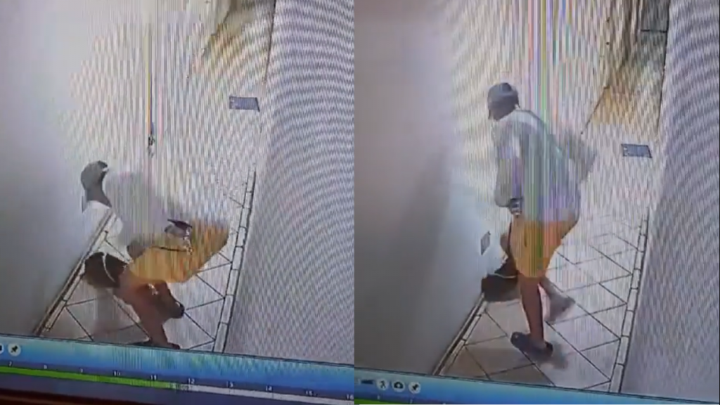 Viralizan violento maltrato animal contra perrito en Viña del Mar: municipio emprendió acciones legales