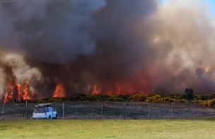 Alerta Roja en Castro por incendio forestal que consume 9 héctareas