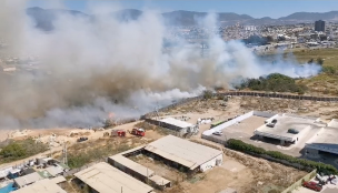 Declaran Alerta Roja en Coquimbo por incendio forestal: Siniestro amenaza a viviendas cercanas