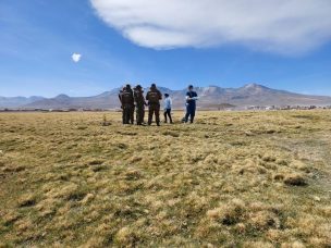 Colchane: Encuentran a mujer boliviana muerta en zona fronteriza